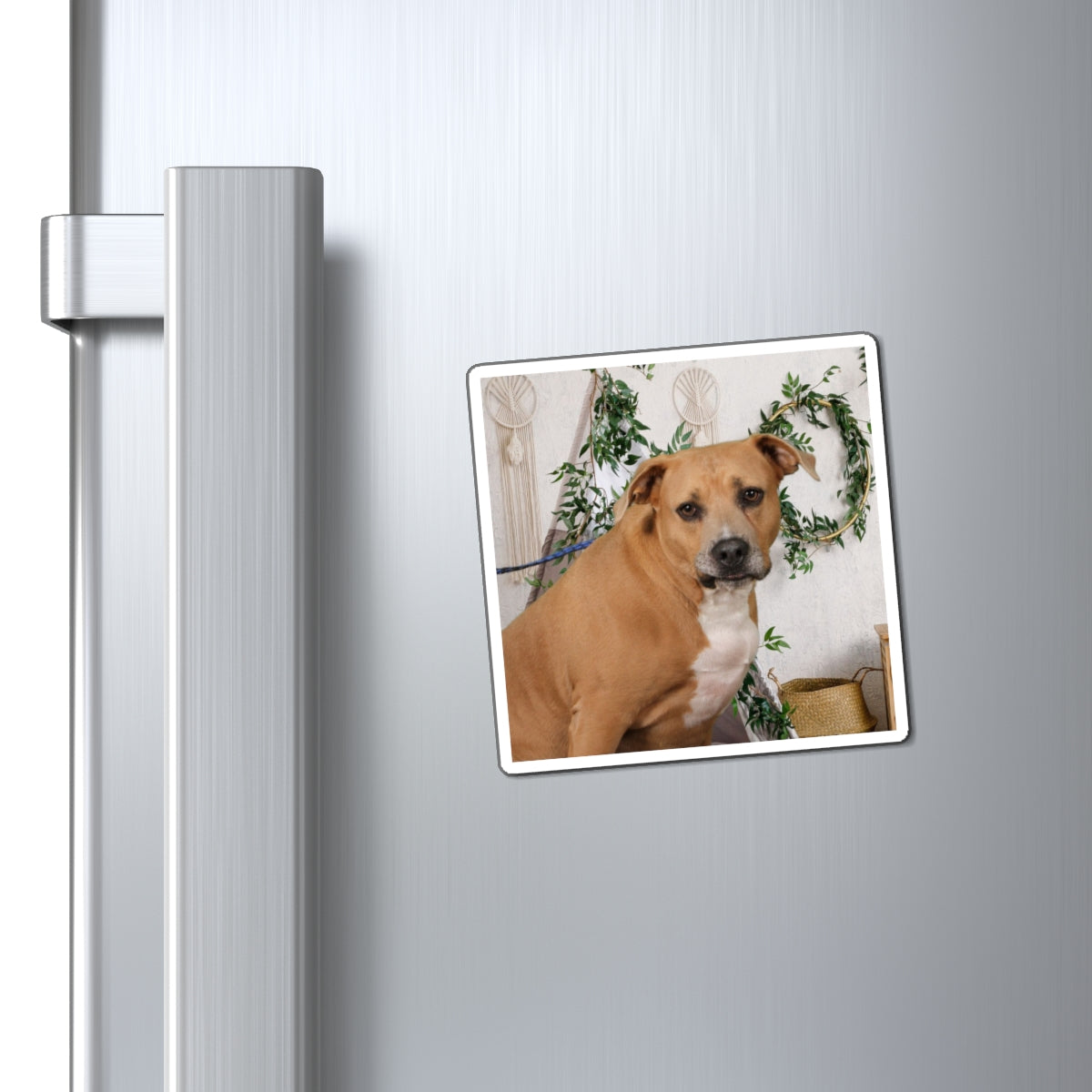 3x3 Magnet: Doggy Daycare Pic #3