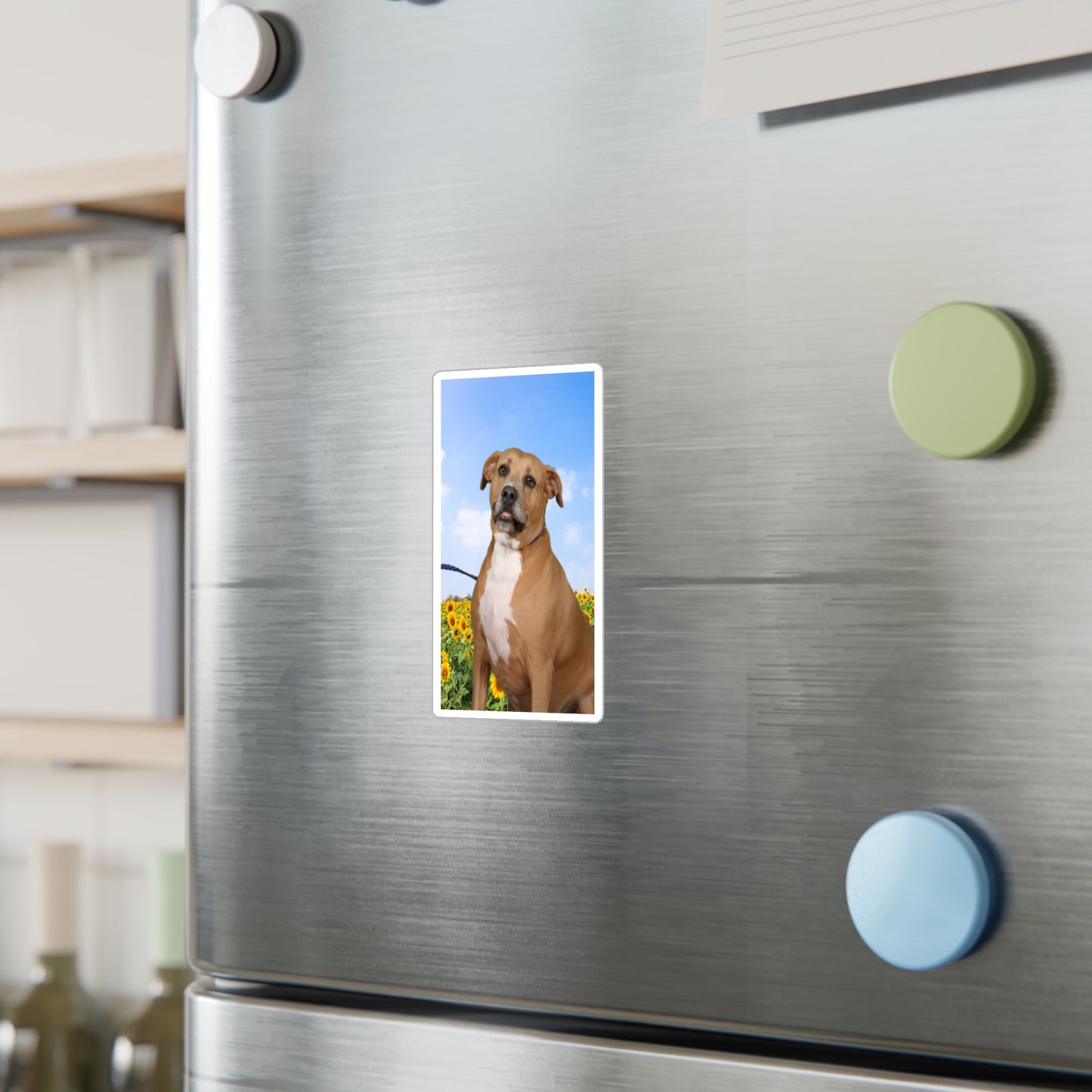 3x4 Sticker: Doggy Daycare Pic #4