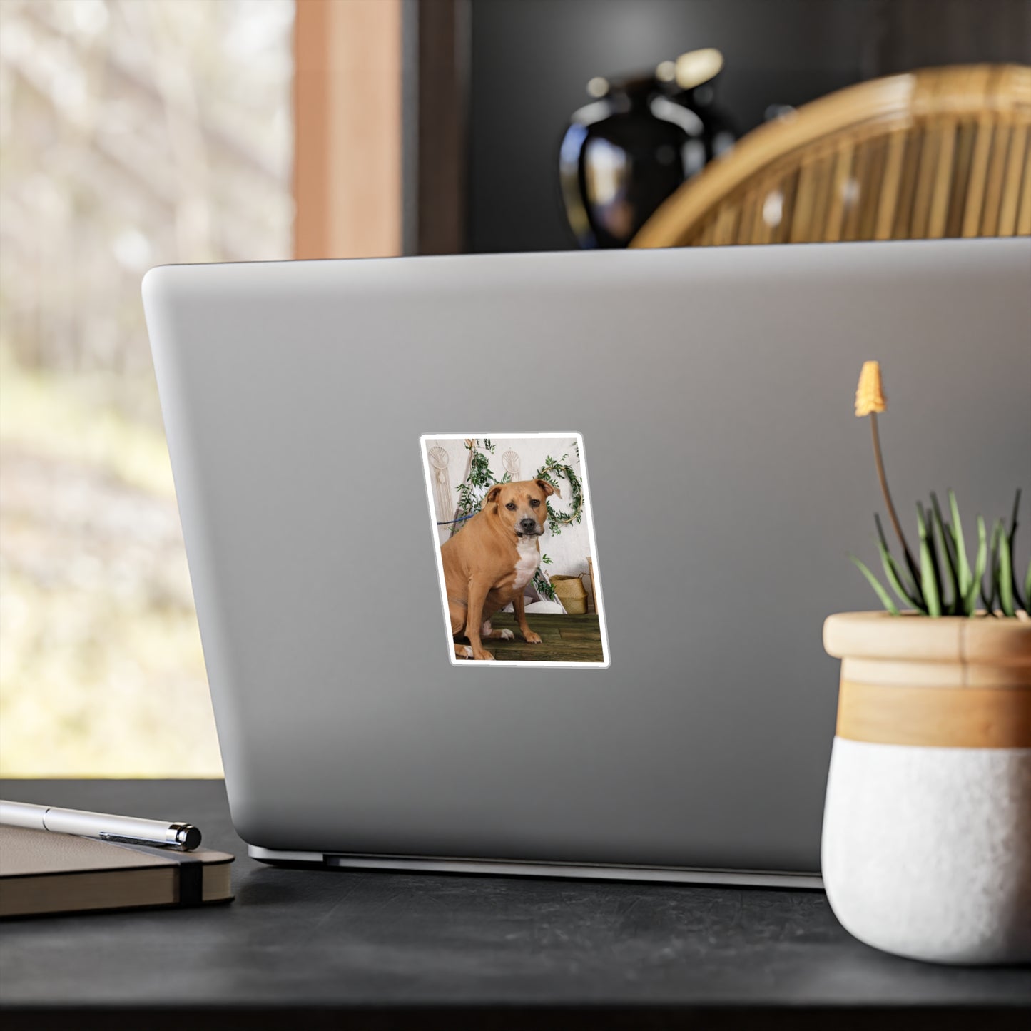 3x4 Sticker: Doggy Daycare Pic #3