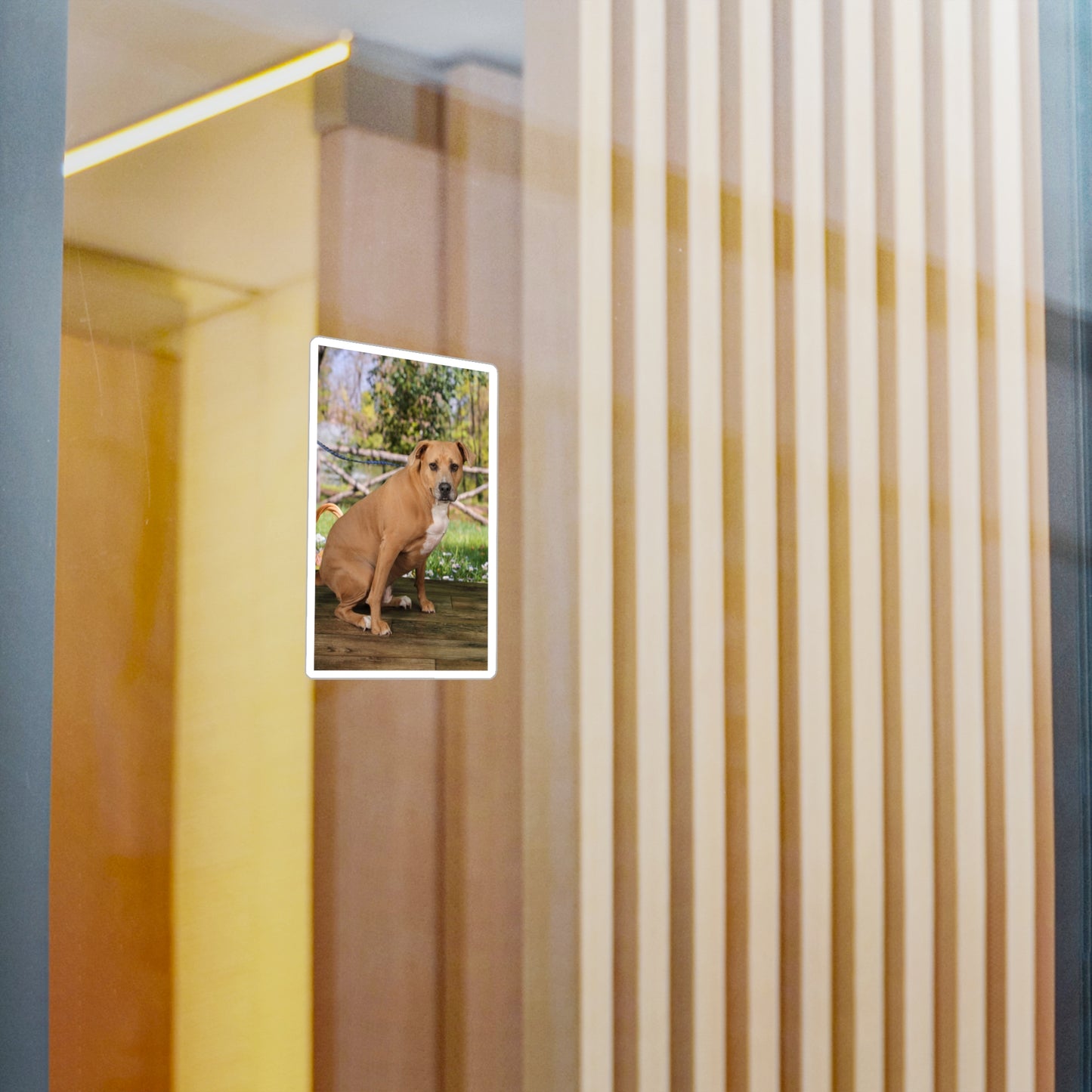 3x4 Sticker: Doggy Daycare Pic #5