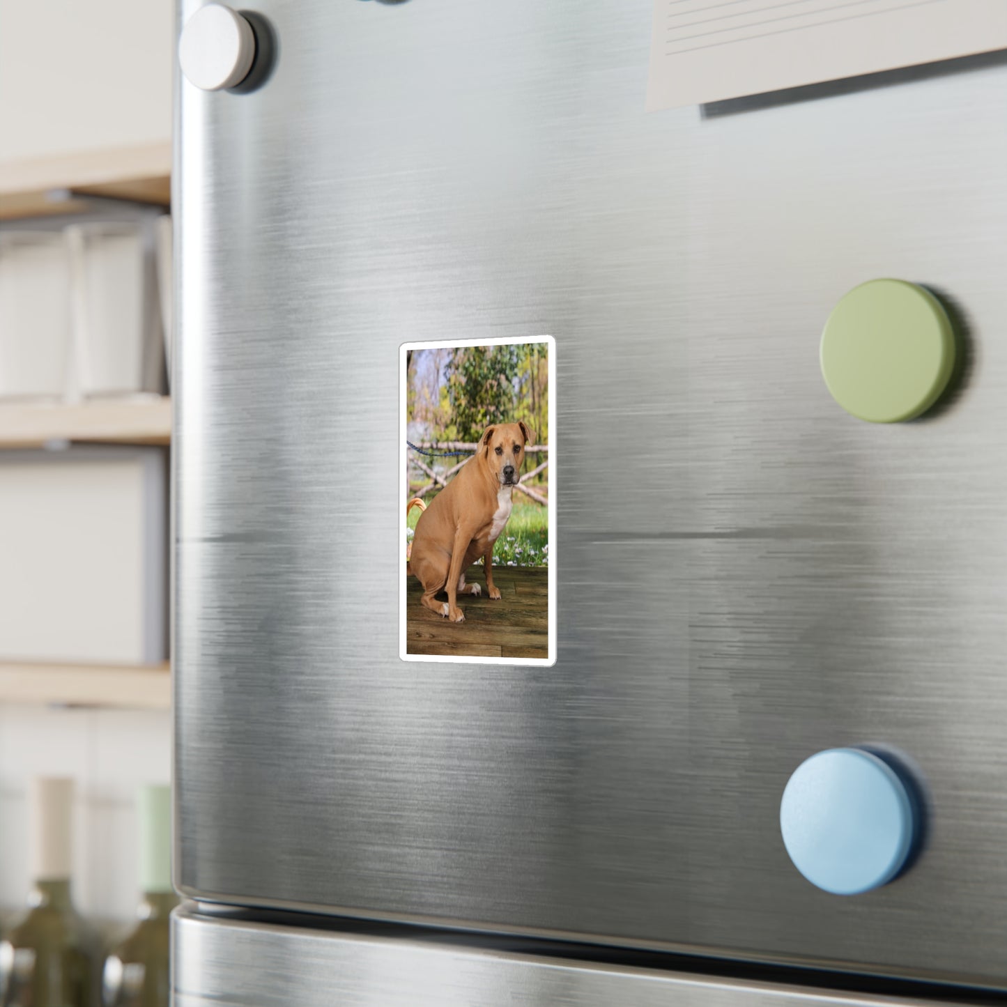 3x4 Sticker: Doggy Daycare Pic #5