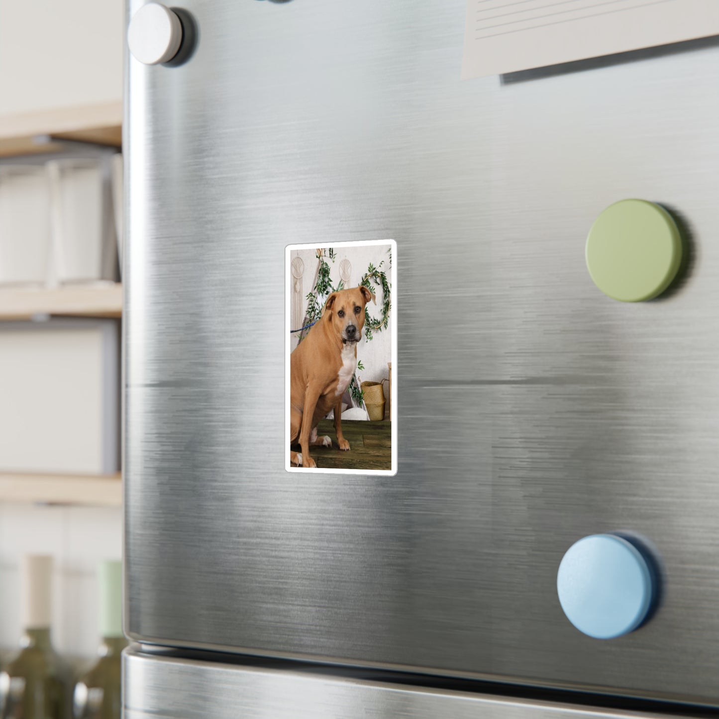 3x4 Sticker: Doggy Daycare Pic #3