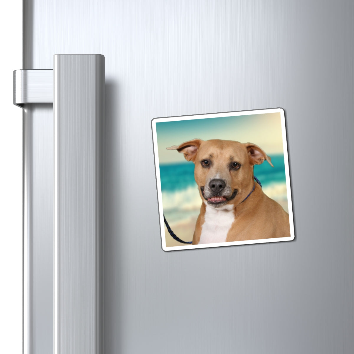3x3 Magnet: Doggy Daycare Pic #2