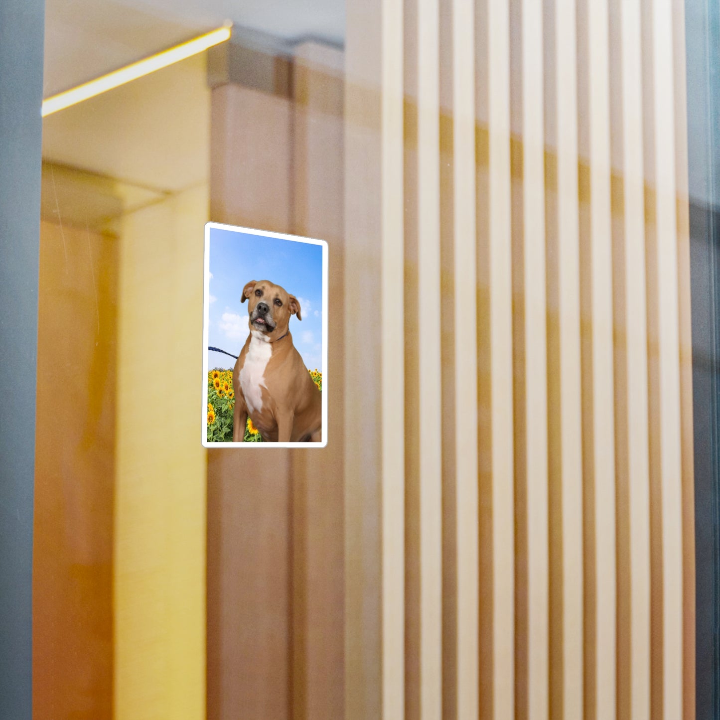 3x4 Sticker: Doggy Daycare Pic #4