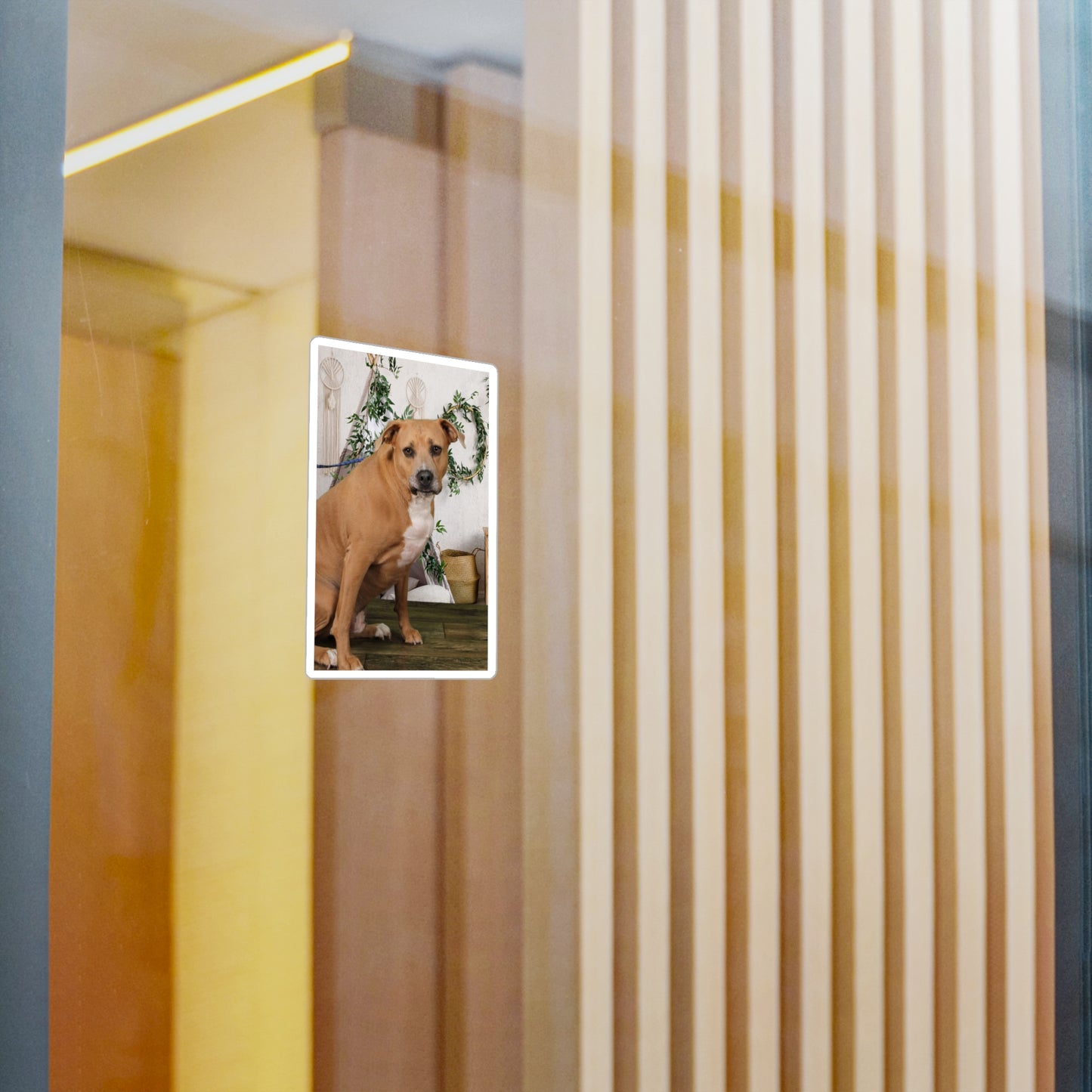 3x4 Sticker: Doggy Daycare Pic #3