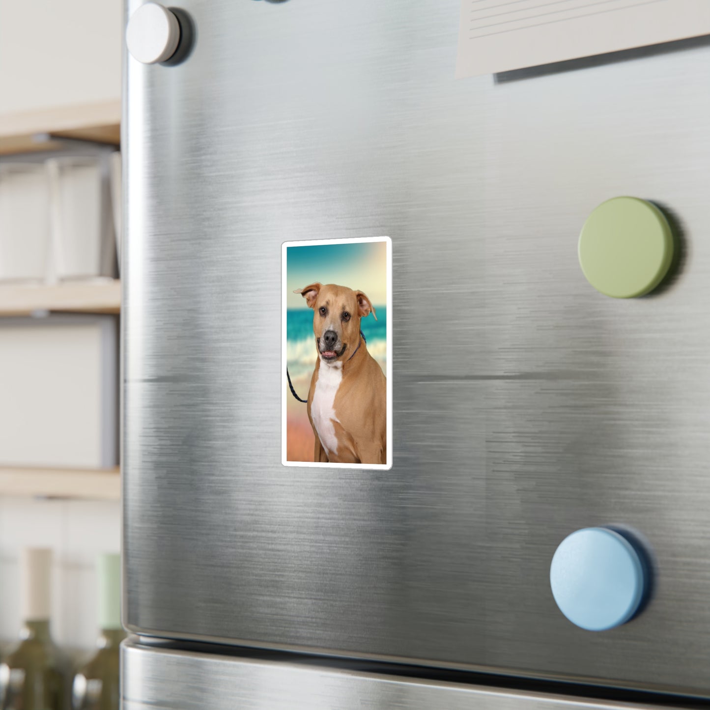 3x4 Sticker: Doggy Daycare Pic #2